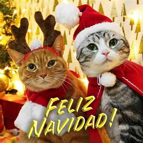 felíz navidad imagenes